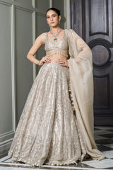 Ivory Gold Tissue Lehenga Set