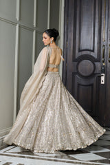 Ivory Gold Tissue Lehenga Set