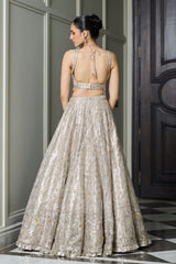 Ivory Gold Tissue Lehenga Set