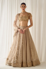 Biege Mukaish and Mirrorwork Lehenga Set