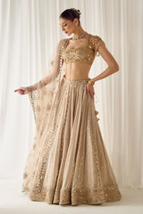 Biege Mukaish and Mirrorwork Lehenga Set