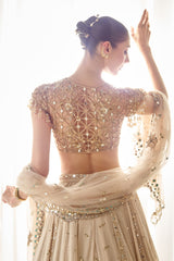 Biege Mukaish and Mirrorwork Lehenga Set