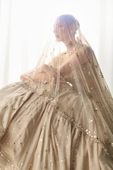 Biege Mukaish and Mirrorwork Lehenga Set