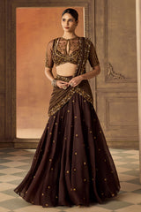 Brown Organza Pre-Draped Saree