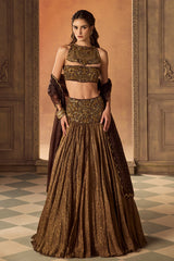 Brown Tissue Lehenga Set