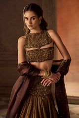 Brown Tissue Lehenga Set