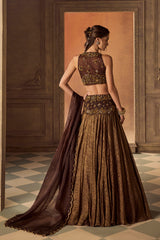 Brown Tissue Lehenga Set