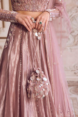 Champagne Rose Tissue Lehenga Set