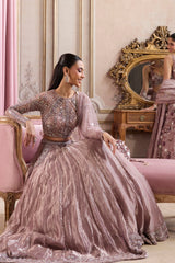 Champagne Rose Tissue Lehenga Set