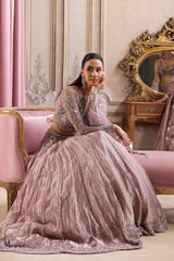 Champagne Rose Tissue Lehenga Set