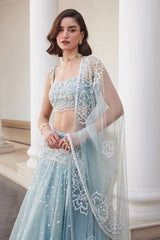 Powder Blue Organza Skirt and Bustier Set