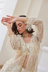 Pearl White Organza Pant-Suit Set