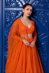 Orange Tonal Blouse and Organza Skirt Set