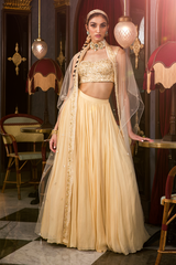 Ivory Bustier Top and Skirt with Net Cape Set