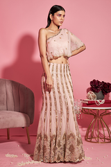 Nude Pink Mermaid Lehenga and One Shoulder Cape Top Set
