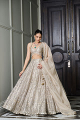Ivory Gold Tissue Lehenga Set