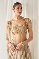 Biege Mukaish and Mirrorwork Lehenga Set