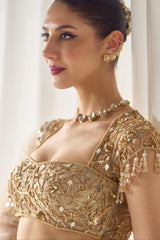 Biege Mukaish and Mirrorwork Lehenga Set