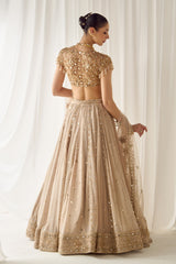 Biege Mukaish and Mirrorwork Lehenga Set