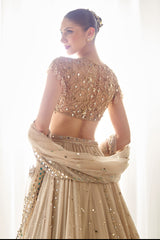 Biege Mukaish and Mirrorwork Lehenga Set
