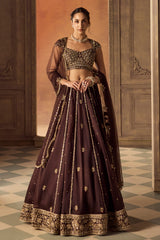 Brown Embroidered Organza Booti Lehenga Set