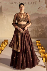 Brown Organza Pre-Draped Saree