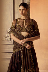 Brown Organza Pre-Draped Saree