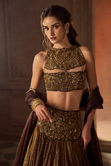 Brown Tissue Lehenga Set