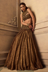 Brown Tissue Lehenga Set