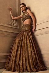 Brown Tissue Lehenga Set