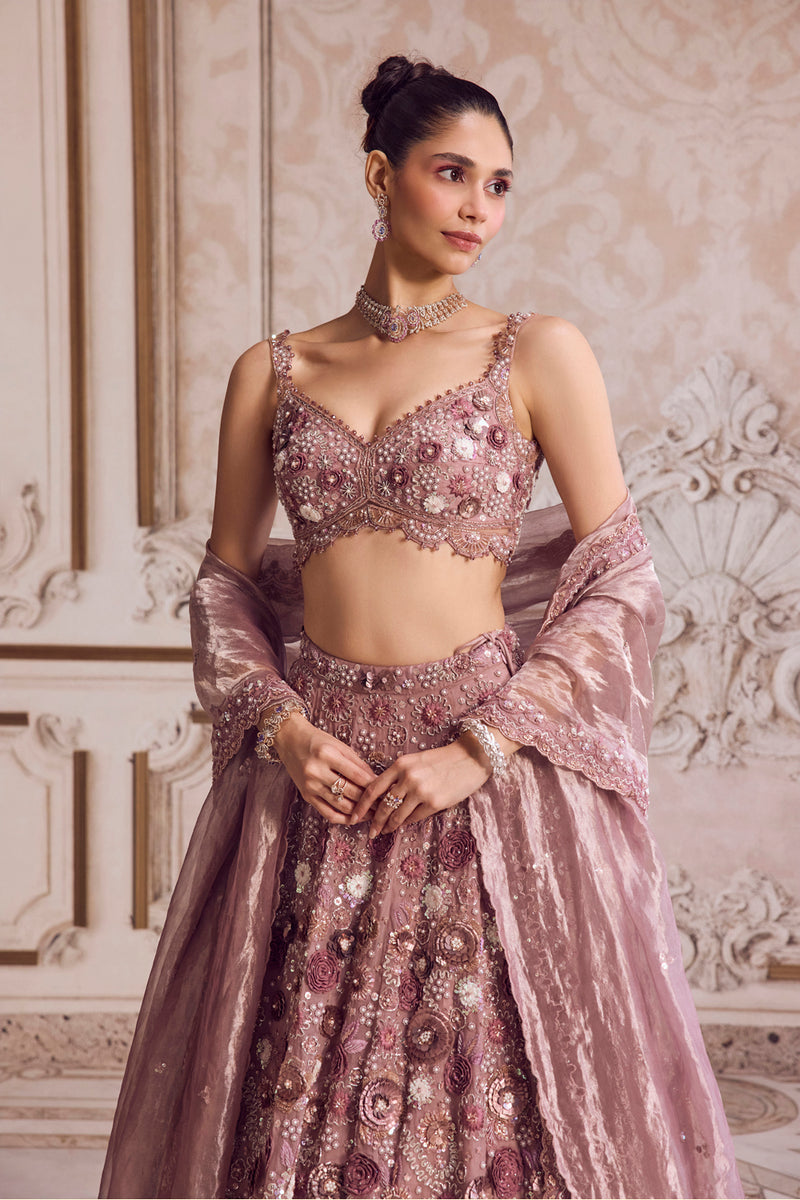 Champagne Rose Lehenga With Blouse Set