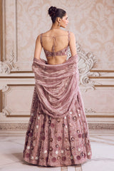 Champagne Rose Lehenga With Blouse Set