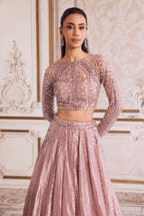 Champagne Rose Tissue Lehenga Set