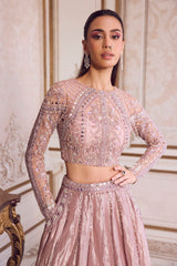 Champagne Rose Tissue Lehenga Set