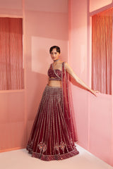 Plum Embroidered Lehenga and Blouse with Double Dupatta Set