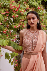Rose Gold Tonal Embroidered Blouse and Saree